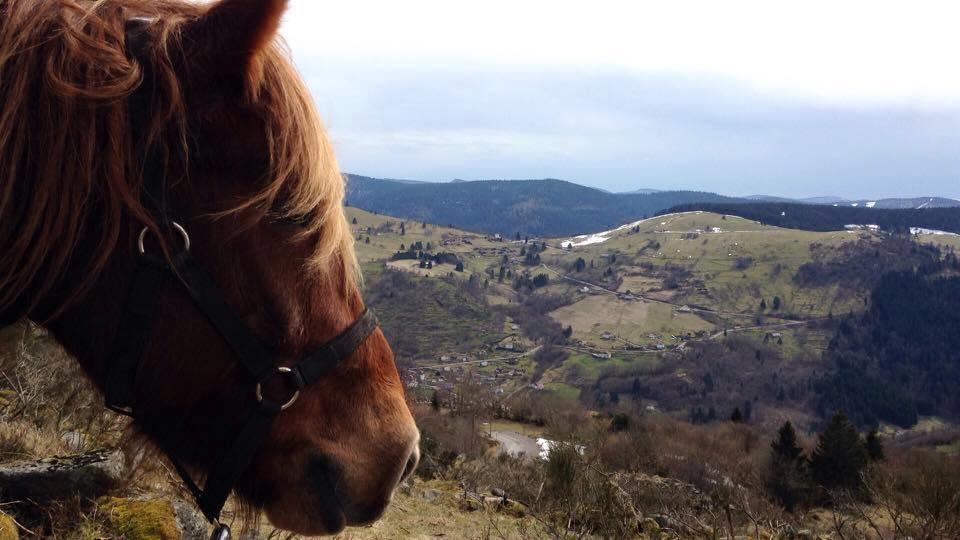 Equi'Val Villa Льо Толи Екстериор снимка